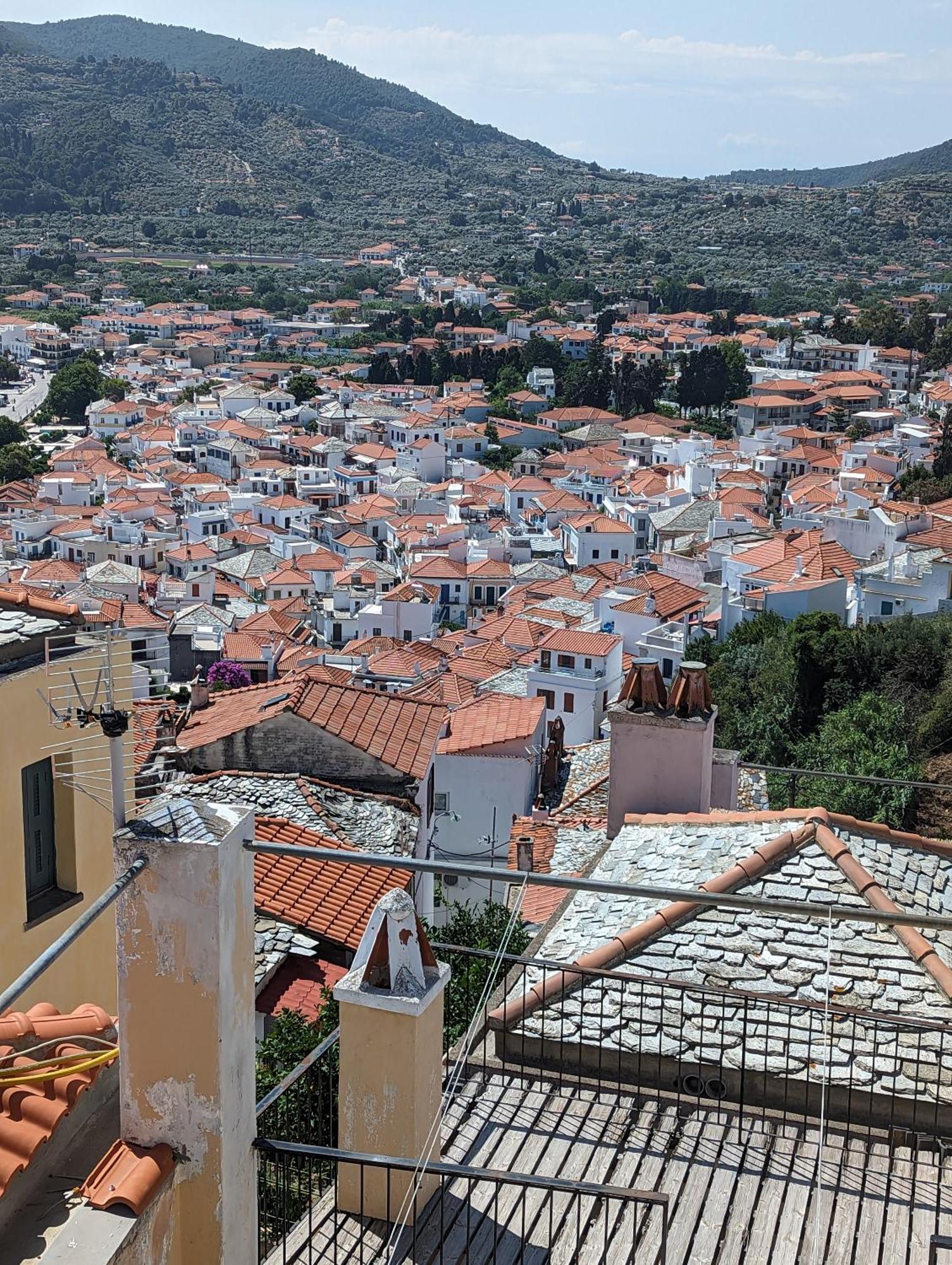 The Botanist Guesthouse Skopelos Town Exterior foto
