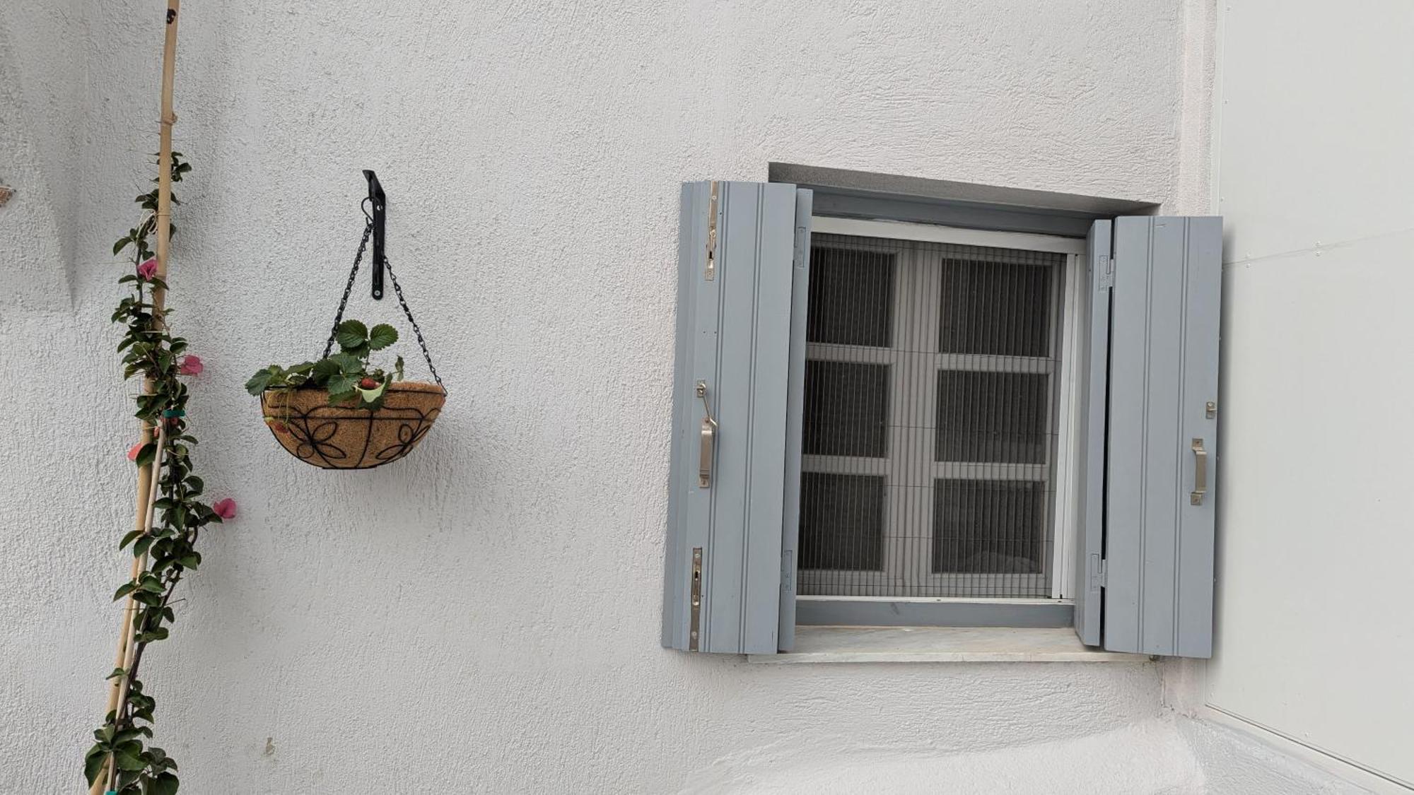 The Botanist Guesthouse Skopelos Town Exterior foto