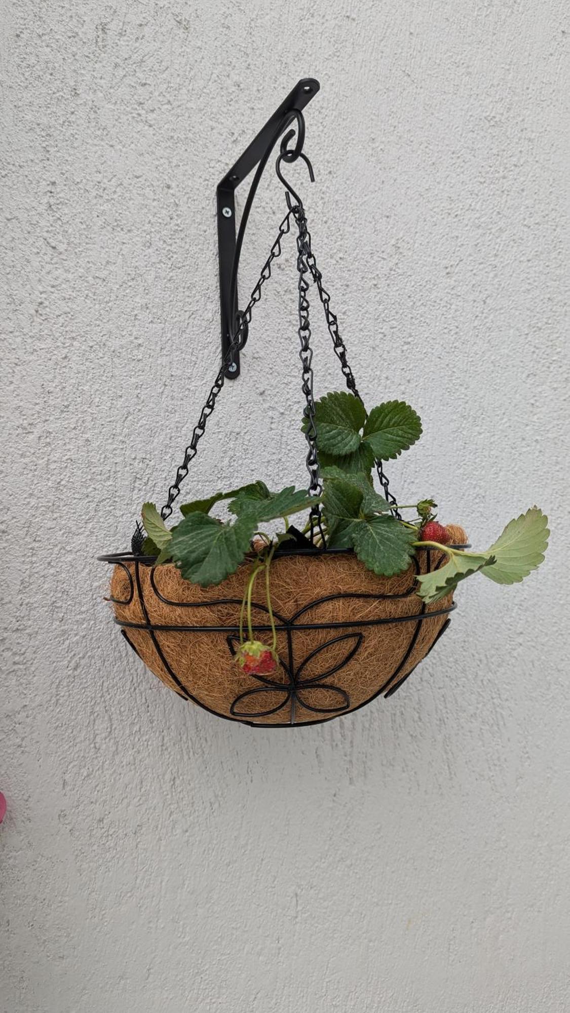 The Botanist Guesthouse Skopelos Town Exterior foto
