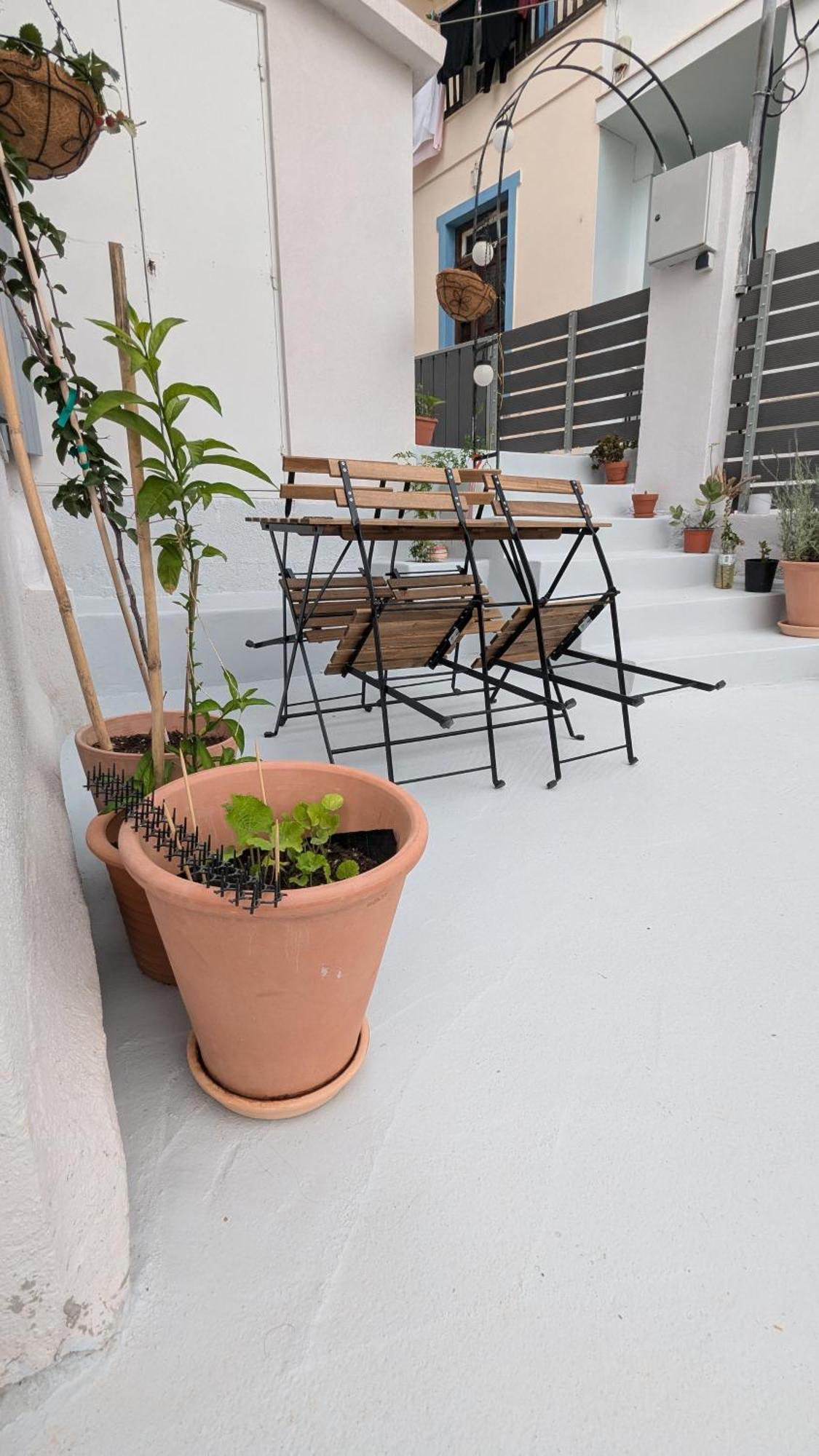 The Botanist Guesthouse Skopelos Town Exterior foto